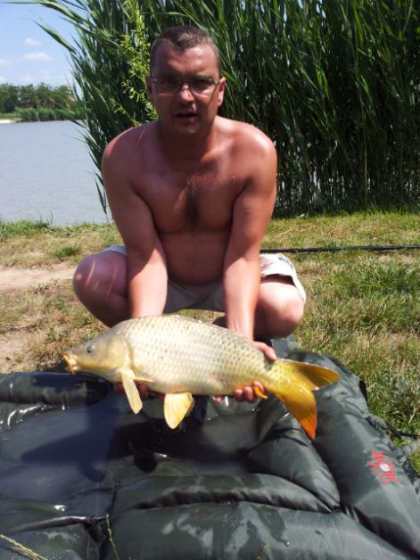 20120618_113011.jpg 20120618_113011.jpg