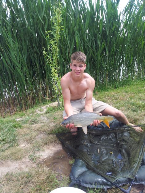 20120618_123351.jpg 20120618_123351.jpg