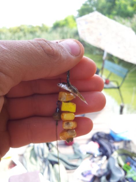 véletlenek véletlenje véletlenek véletlenje