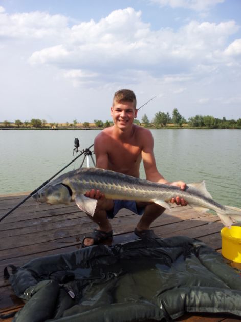 20120823_151508.jpg 20120823_151508.jpg