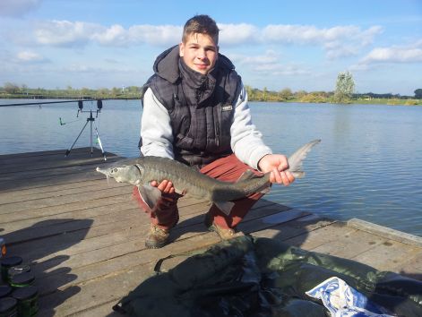 20121030_131229.jpg 20121030_131229.jpg