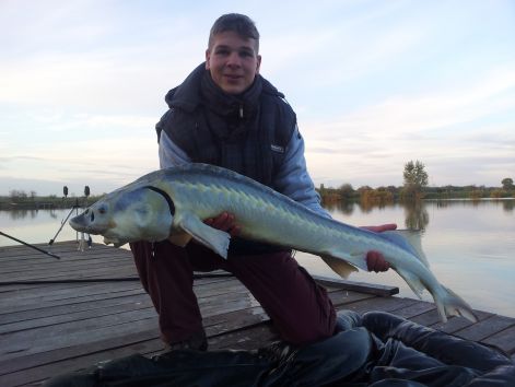 20121030_160220.jpg 20121030_160220.jpg