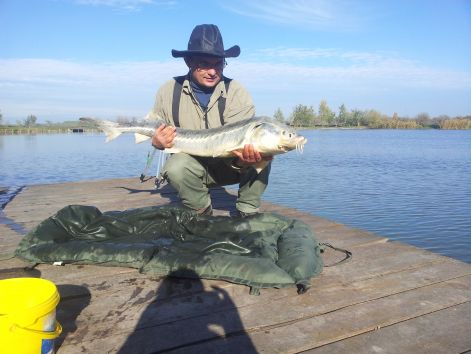 20121107_095945.jpg 20121107_095945.jpg