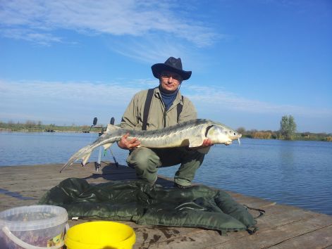 20121107_095952.jpg 20121107_095952.jpg