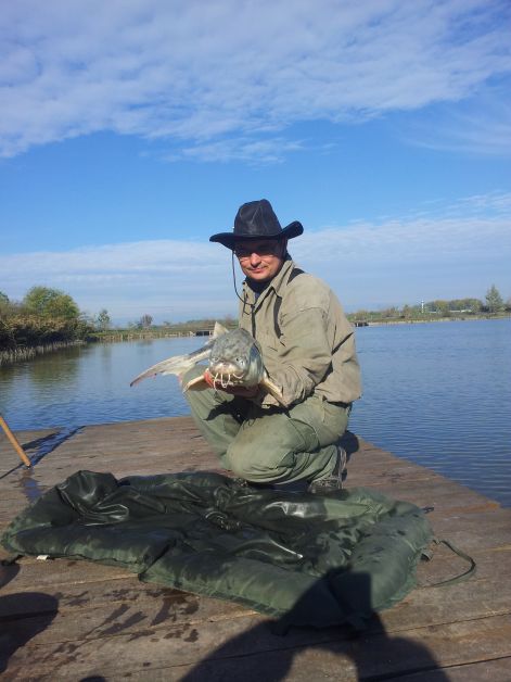 20121107_100013.jpg 20121107_100013.jpg