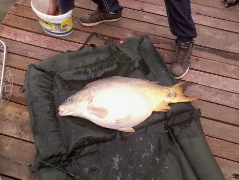 fenykep0056.jpg fenykep0056.jpg