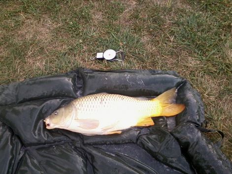 fenykep0077.jpg fenykep0077.jpg