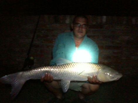 fenykep0084.jpg fenykep0084.jpg