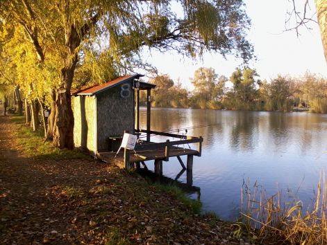 fenykep0127.jpg fenykep0127.jpg